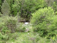 DSC02358  Gorges de l’Inzecca et de Strette
